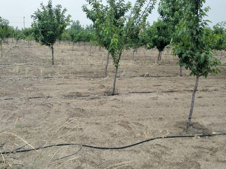 ��(ji��)ˮ��Ȱ���չʾ