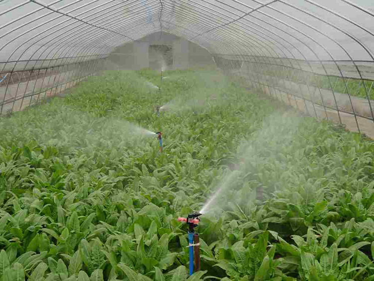 ΢������